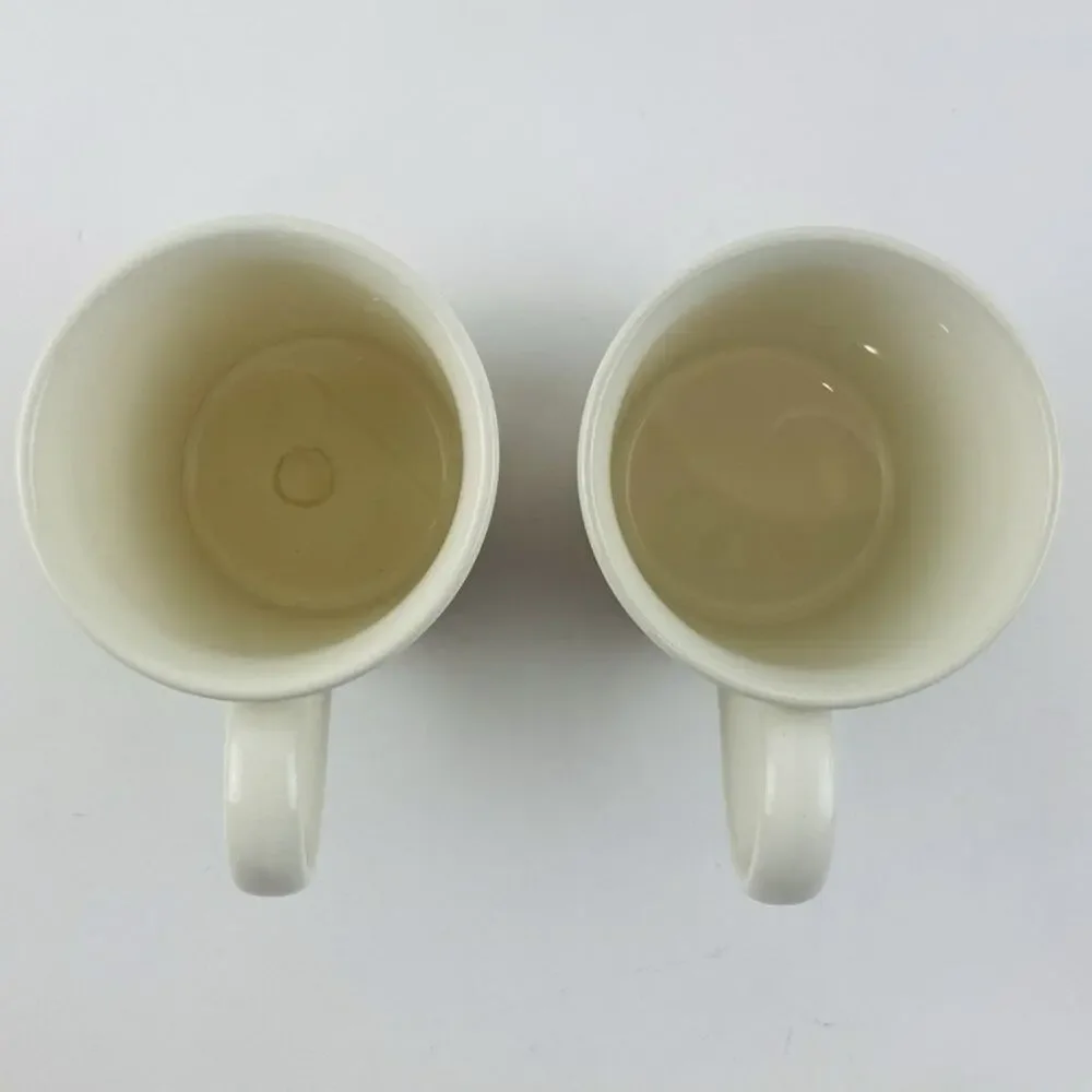 2 Pier 1 Coffee Mugs Made Italy Fruit Hawaii Flower Earthenware New Harvest Appl